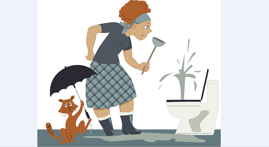 billy sunshine | Plumber | Plumbing
