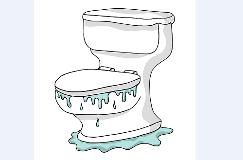 Backed up Toilet | Toilet | Billy the Sunshine Plumber