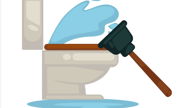 clogged toilet | toilet | billy the sunshine plumber