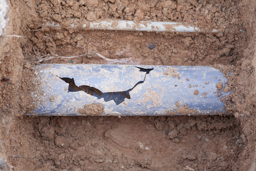 Citrus Plumber | Pinellas PLumber | Billy The Sunshine Plumber