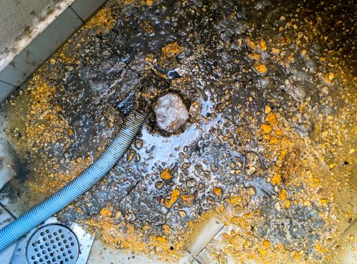 Clogged Pipe | Slow Drain | Billy the Sunshine Plumber