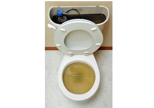 Clogged Toilet | Plumbing | Billy the Sunshine Plumber - Billy The Sunshine Plumber Clogged Toilet | Plumbing | Billy the Sunshine Plumber