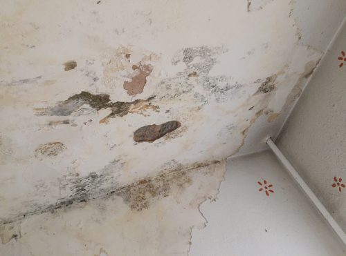 Leak | Leaking Pipe | Billy the Sunshine Plumber - Billy The Sunshine Plumber Leak | Leaking Pipe | Billy the Sunshine Plumber