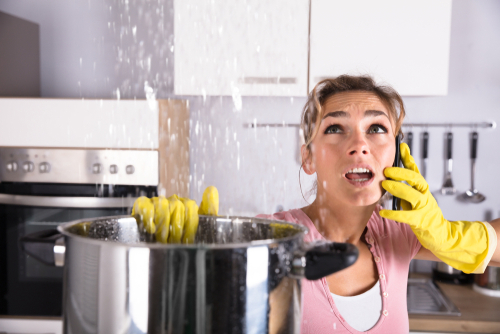 Billy the Sunshine Plumber | Leak Detection | Leak - Billy The Sunshine Plumber Billy the Sunshine Plumber | Leak Detection | Leak