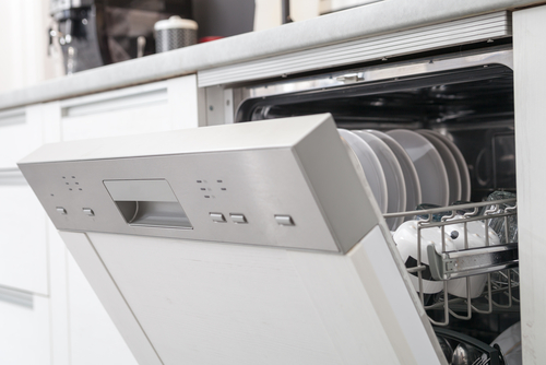 Billy the Sunshine Plumber | Clogged Dishwasher | Drain Cleaning
