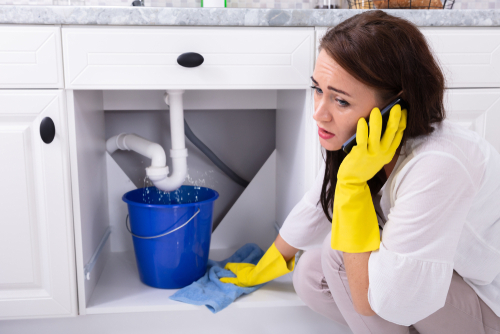 Billy the Sunshine Plumber | I Need a Plumber | Plumber Near Me - Billy The Sunshine Plumber Billy the Sunshine Plumber | I Need a Plumber | Plumber Near Me