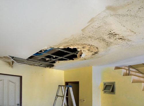 Billy the Sunshine Plumber | Leak | Leak Detection