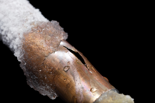 Billy the Sunshine Plumber | Leak | Leak Detection - Billy The Sunshine Plumber Billy the Sunshine Plumber | Leak | Leak Detection